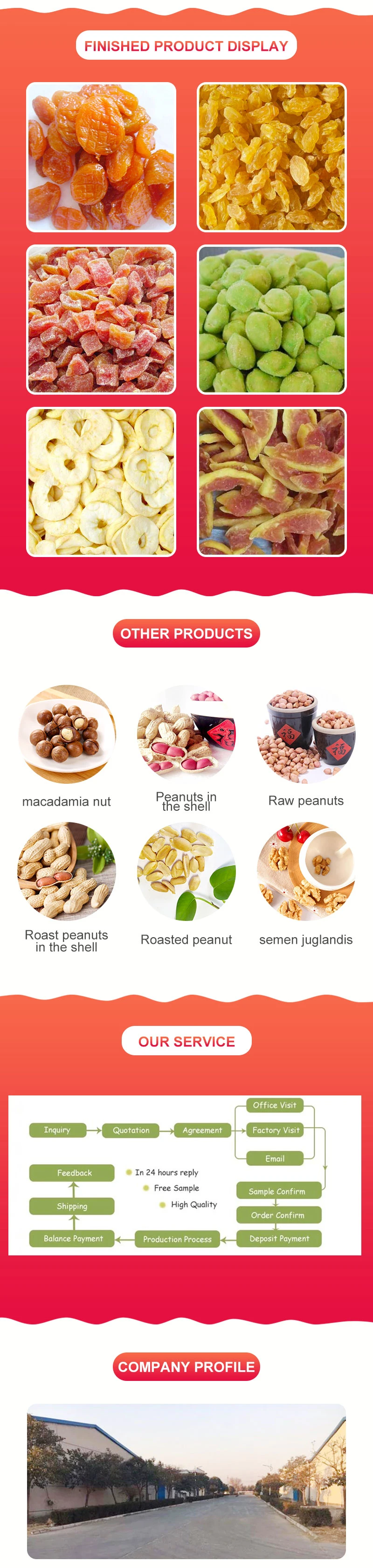 Professional Production All Kinds of Dried Fruits Bulk Quantity Preserved Dehydrated Fruits From China