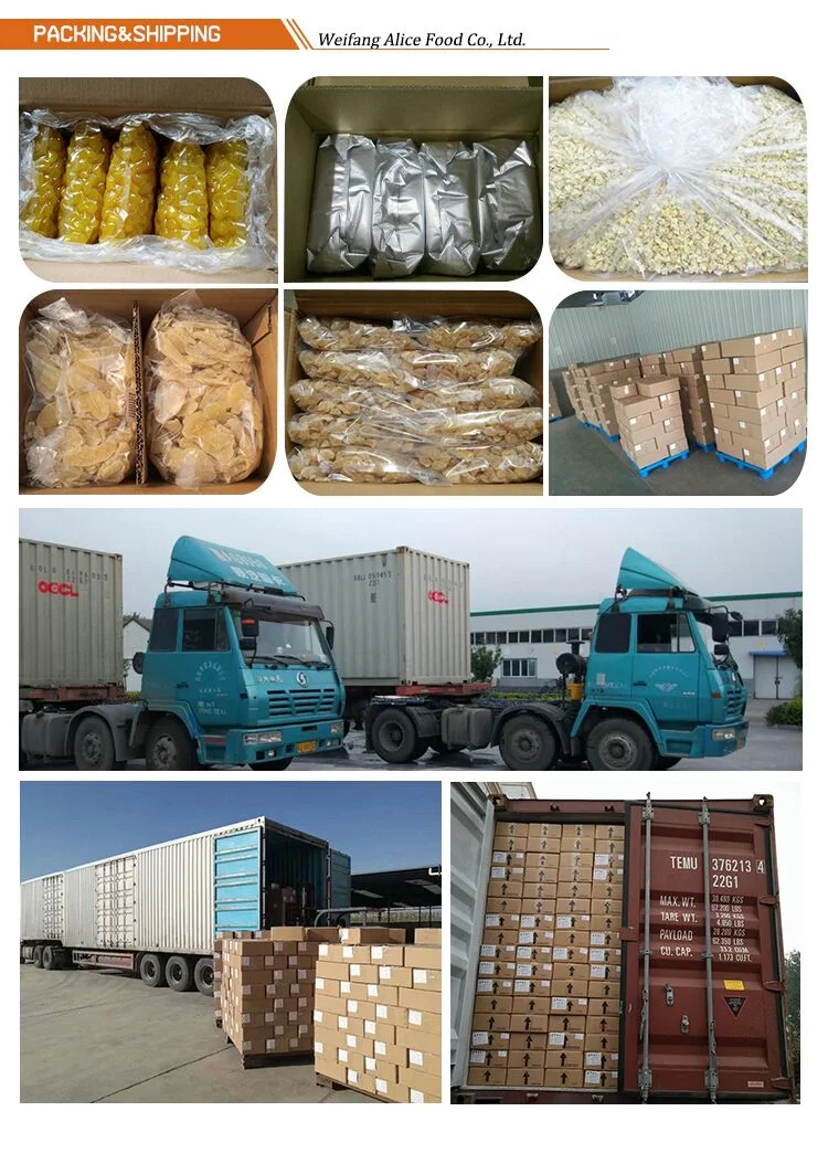 Top Quality All Kinds of Dried Fruits Bulk Quantity Wholesale Preserved Dehydrated Fruits