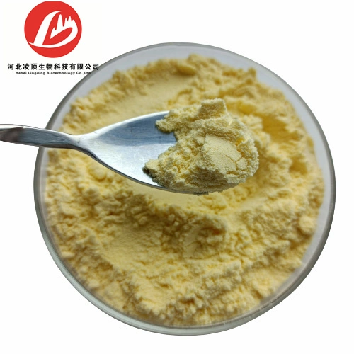 Natural Mango Fruit/Leaf Extract Mangiferin Powder 98% CAS 4773-96-0