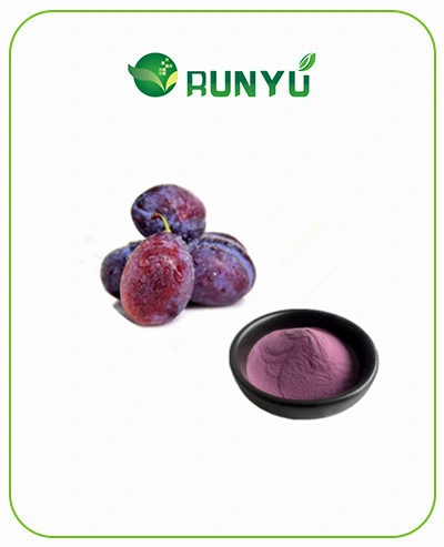 Best Price Natural Prune Fruit Powder