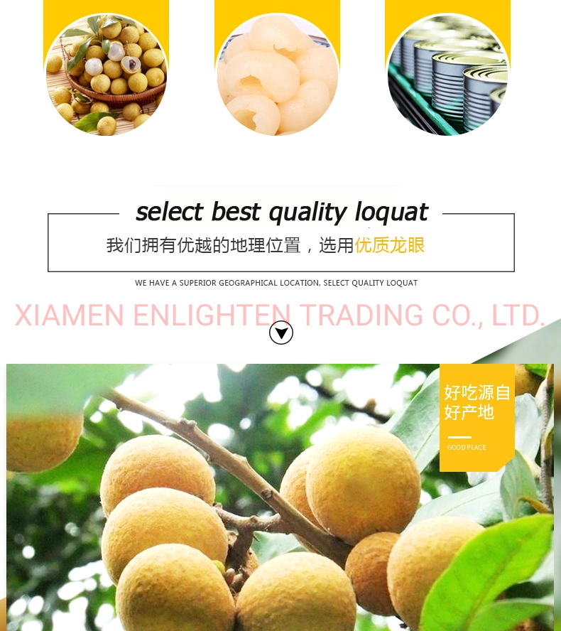 Best Pudding Ingredient Good Quality 2.5 Size Brittle Meat Dimocarpus Longan in Syrup Packed in Can for Whole Sale