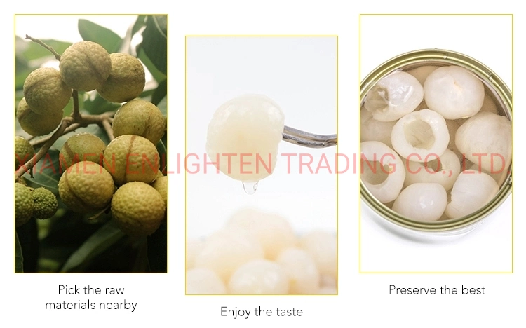 Best Pudding Ingredient Good Quality 2.5 Size Brittle Meat Dimocarpus Longan in Syrup Packed in Can for Whole Sale