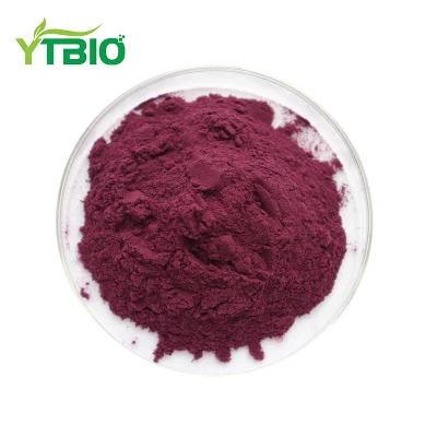 Freeze-Dried Powder Mulberry Extract Mulberry Fruit 100% Natural