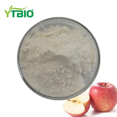 100% Pure Apple Fruit Juice Concentrate Powder in Bulk