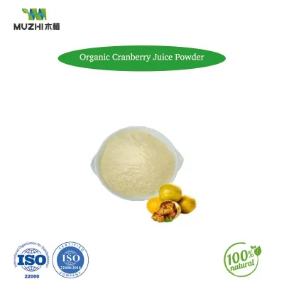 Private Label Organic Blueberry Juice Powder Blueberry Fruit Powder