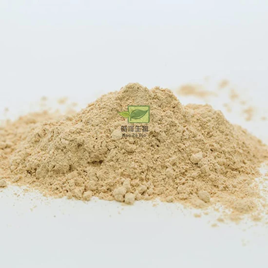 Bulk Almond Milk Powder Dry Fruits Almond Protein Powder Almond Powder