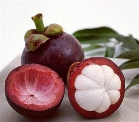 E. K Herb Factory Supply Best Price Mangosteen Fruit Extract Xanthone 90% Powder