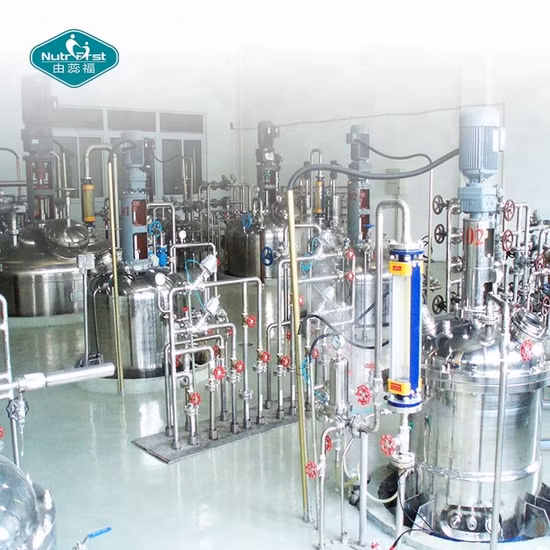 Food Grade Top Quality Dried Organic Strawberry Fruit Extract Powder