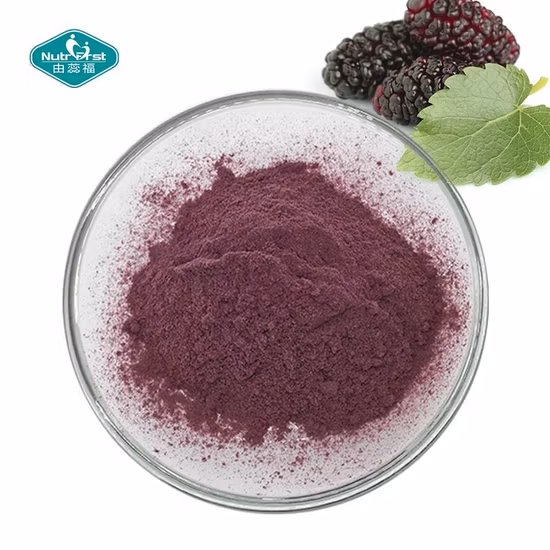 Freeze-Dried Powder Mulberry Extract Mulberry Fruit 100% Natural